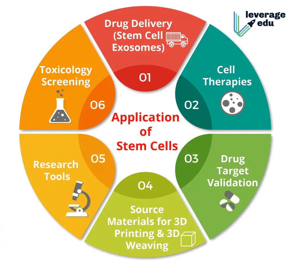 Uses of stem in in medical treatment