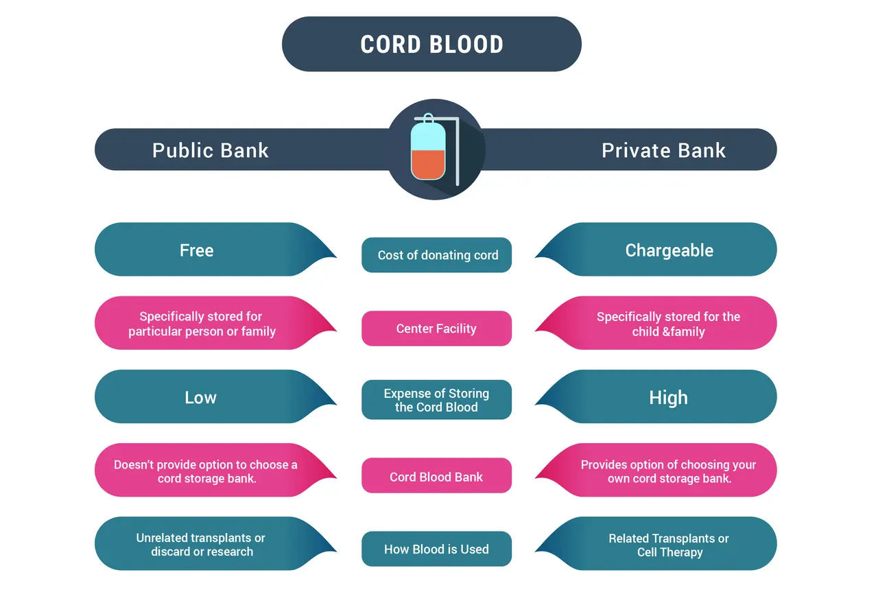 A comparison chart displaying the advantages and disadvantages of public and private stem cell banks