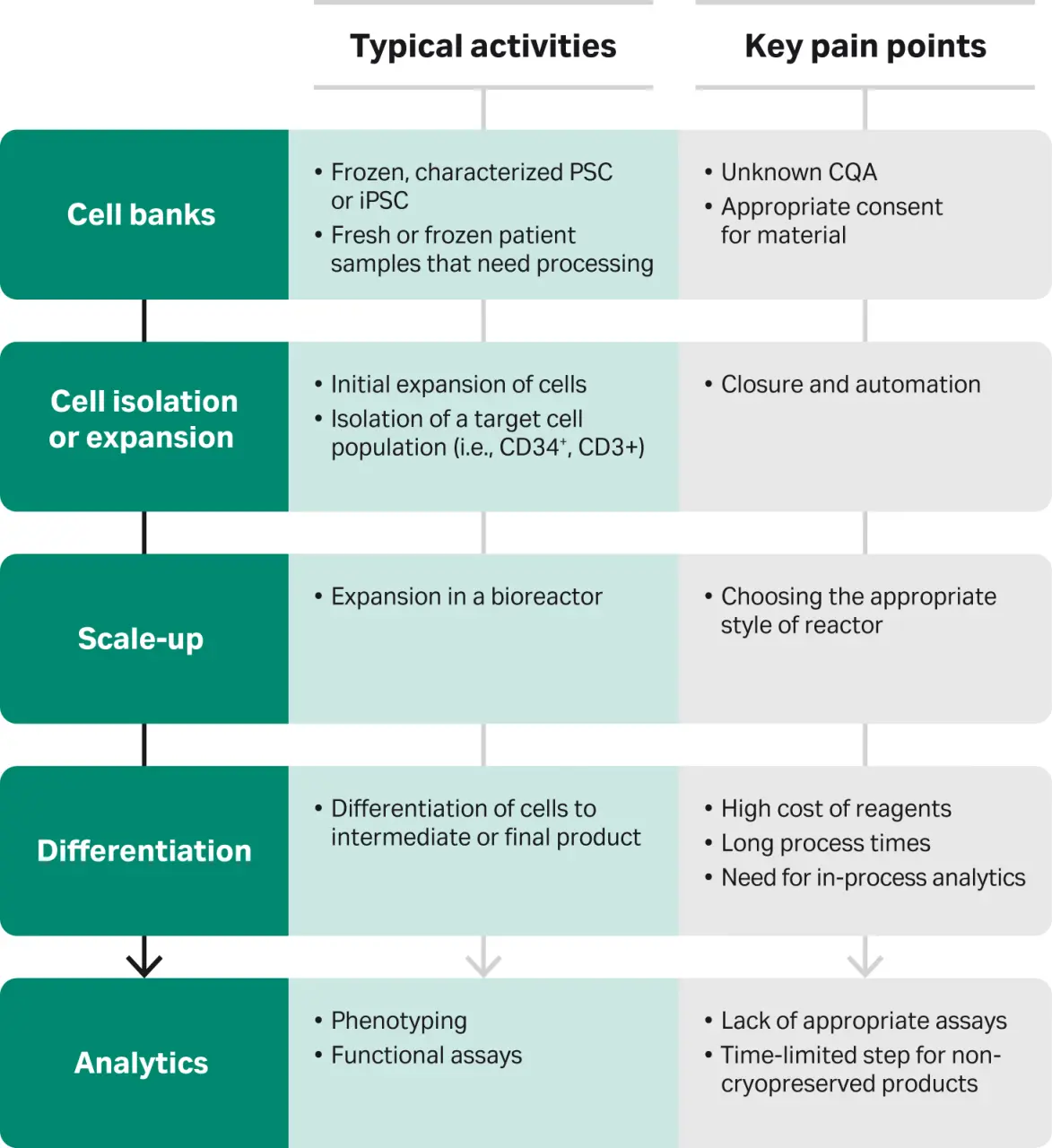 A diagram showing the process of stem cell banking and highlighting areas where ownership and access rights issues may arise