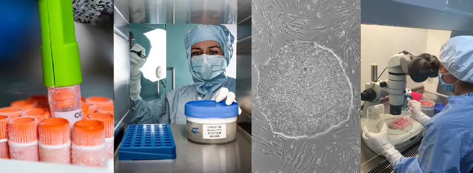 Making of personalized medicine