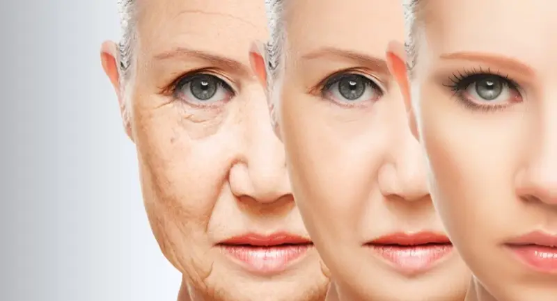 Stem cell Anti aging