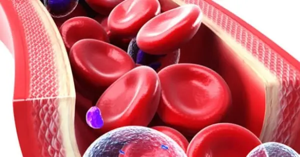 Cord Blood Awareness Month – Why Is It Important?