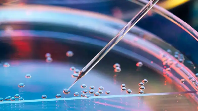 An Introduction to Stem Cell Therapy