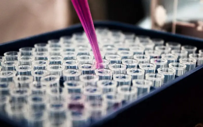 The Healing Power of Stem Cells: An Overview