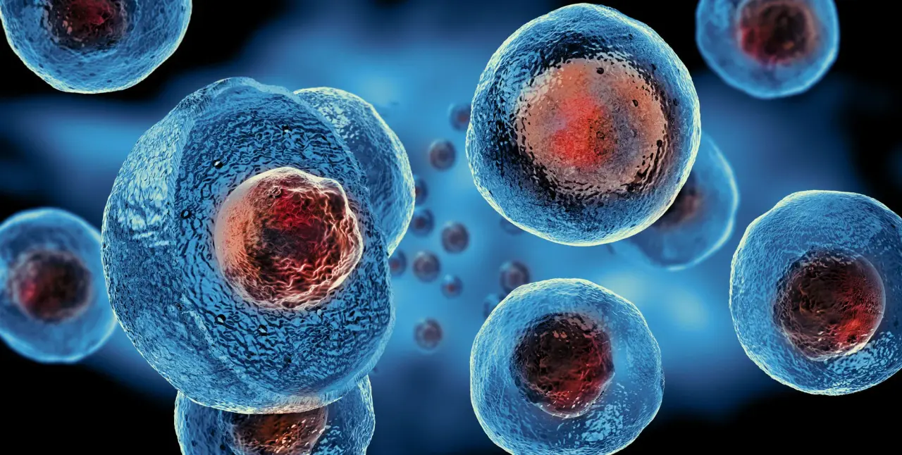 The Global Landscape of Stem Cell Therapy