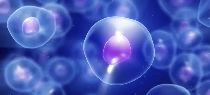 Brain Injury Treatment with Cord Blood Stem Cells