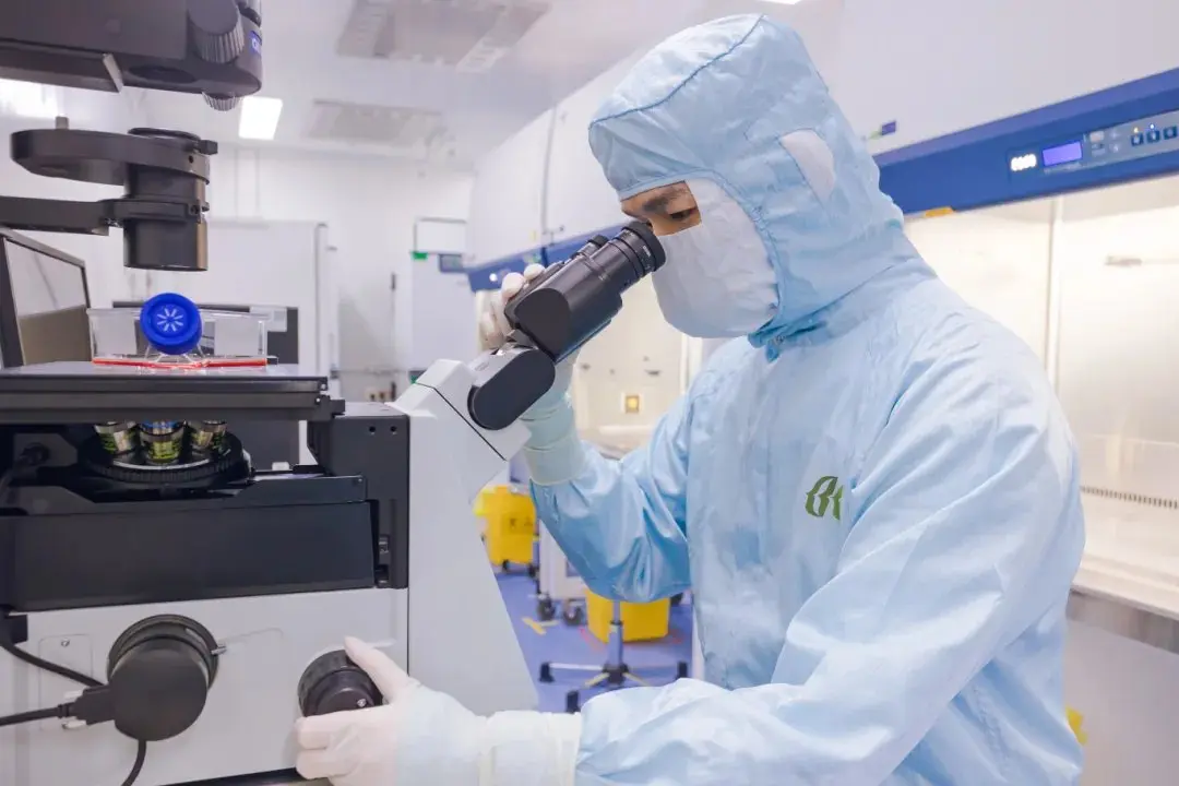 A Beike technician in a sterile cleanroom suit examines cultured stem cells under a microscope