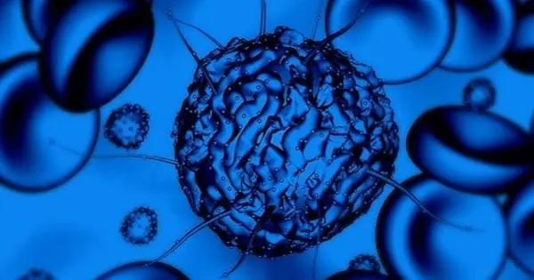 stem-cell-research-treatment